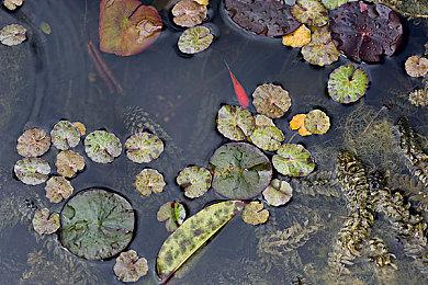 《漫威金刚狼》编剧曾为《特殊行动》创作剧本